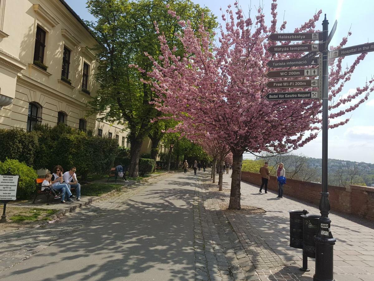 Budasmile Appartment At Buda Castle - Aircon & Free Parking Budapest Exterior photo